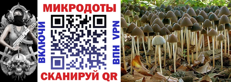 купить наркоту  Каспийск  Псилоцибиновые грибы мицелий 