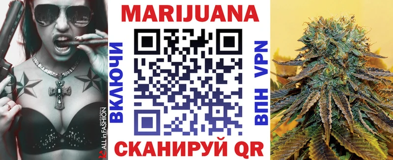 Конопля сатива  Каспийск 